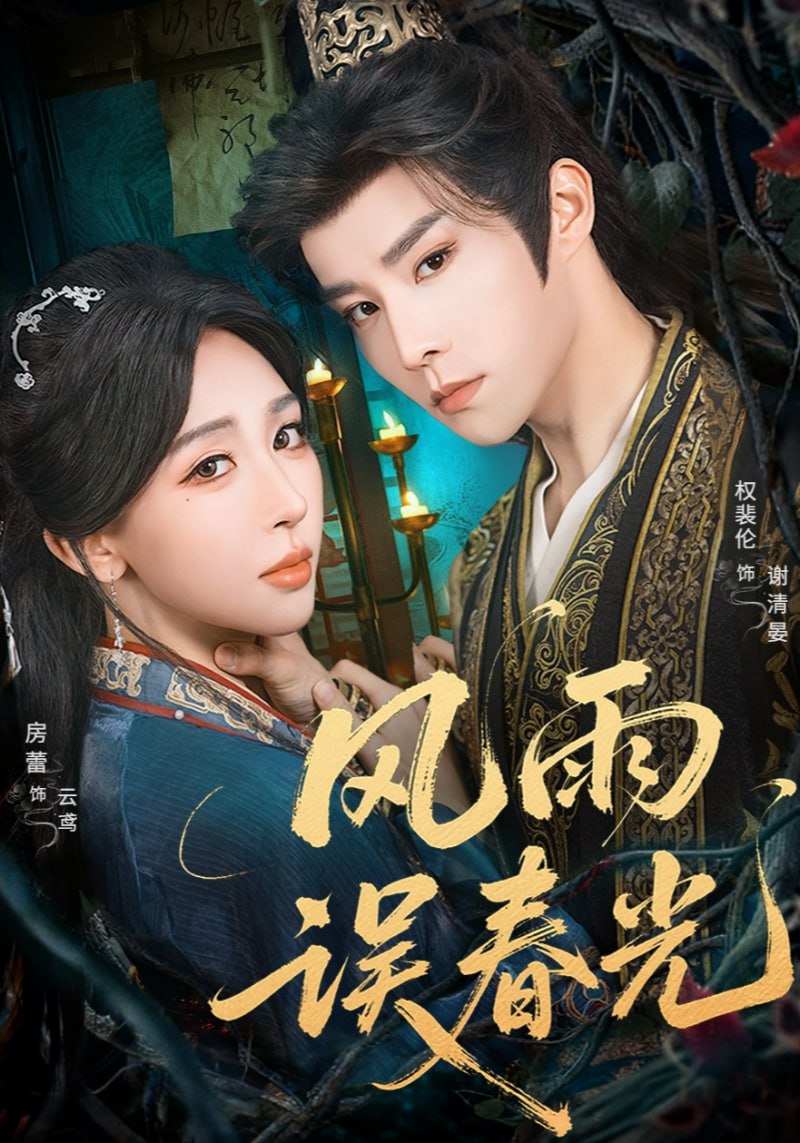 风雨误春光（七年寒鸢）